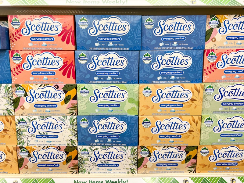 boxes of scotties facial tissues