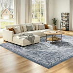 Washable Area Rug