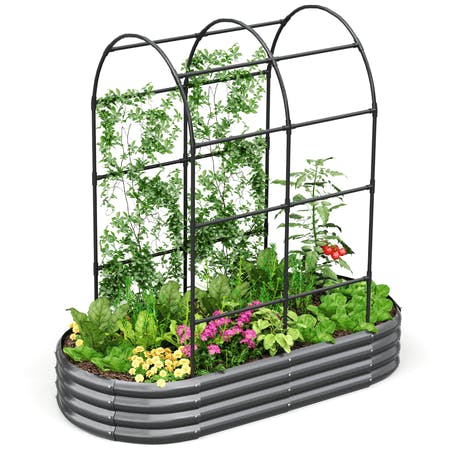 Raised Garden Bed with Trellis