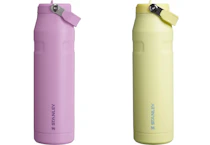 Stanley IceFlow Bottle