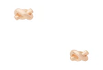 Kate Spade Studs