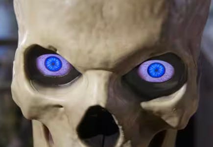 Home Accents Holiday Skelly Eyes