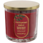 Sonoma Goods For Life 3-Wick Candle