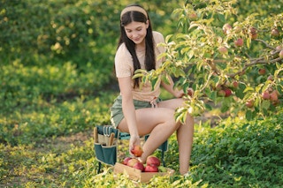 Lowes-Nature-Spring-gardening-kneeling-pad