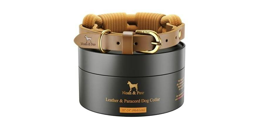 Noah & Paw Dog Collar