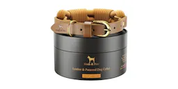 Noah & Paw Dog Collar