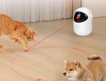 a cat and dog playing with a laser toy