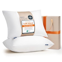 Bedsure Pillows 2-Pack