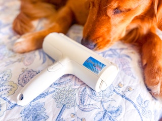 morning-save-chom-chom-pet-hair-tool-2