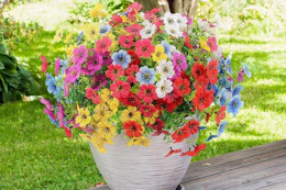 artificial flowers on a deck