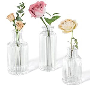 Glass Bud Vase Set of 3
