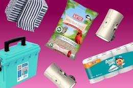 These Amazon Deals Are All $10 or Less: Toilet Paper, Pencils, Hand Vac card image