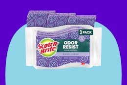 scotch brite sponges