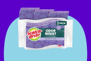 scotch brite sponges