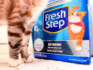 amazon-fresh-step-2024-2