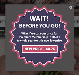 The Knitting Circle Price