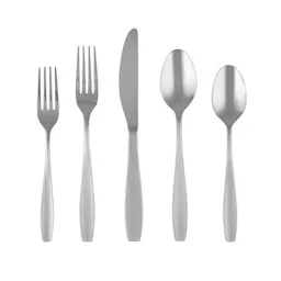 Stainless Steel Flatware Set