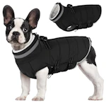 Dog Coat with Harness