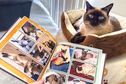 PetSmart Treats Members Month: Get a Free Photo Book (Worth $37.48) and More card image