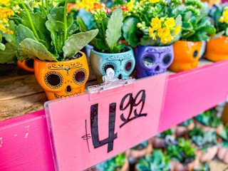trader-joes-oct-2