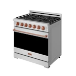 Convection Gas Range