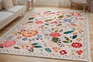 B0F846GSBH area rug.png