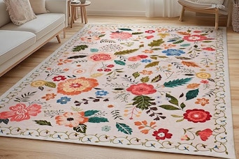 B0F846GSBH area rug.png