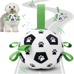 Interactive Dog Toy