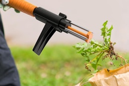 a puller taking out weeds