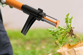 a puller taking out weeds