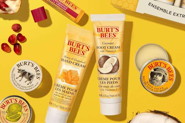 Burt's Bees Tips and Toes Kit, as Low as $7.55 on Amazon card image