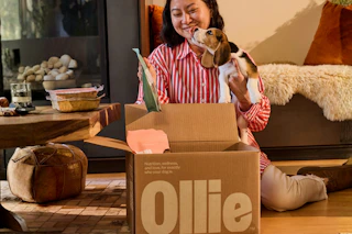 ollie box + puzzle