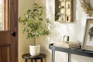 a faux potted tree