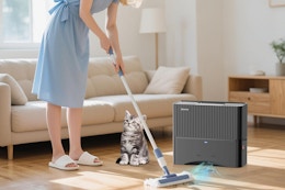 amazon auto vac