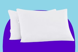 A 2-Pack of Tommy Bahama Pillows Is Just $15 at Macy's (Reg. $50) card image