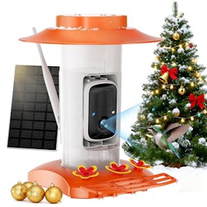 Hummingbird Feeder with Camera