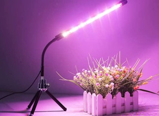 grow light