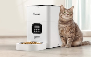 an automatic cat feeder next to a cat