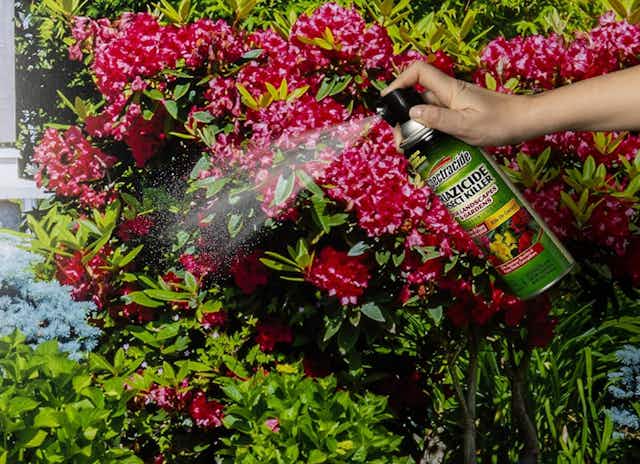 Spectracide Triazicide Insect Killer, Only $1.52 on Amazon card image