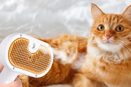 Pet brush