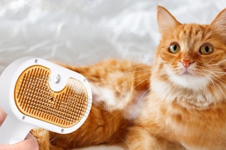 Pet brush
