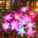 Solar Garden Lights 5-Pack