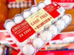 hand holding a pack of members mark eggs