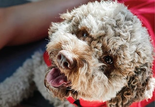 amazon gnc supplies 2023 1 1681235524 1681235524