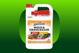 127-ounce Spectracide Weed and Grass Killer