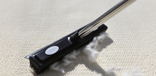 a carpet rake picking of pet hair from the floor