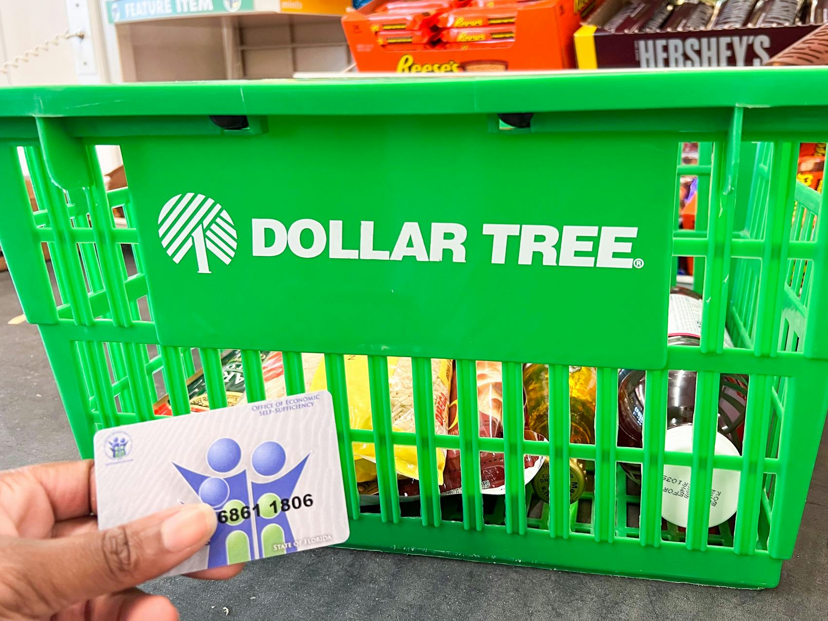 Does Dollar Tree Accept EBT Cards For Convenient Shopping?(00)