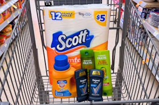 shopping cart with scott, arm & hammer, degree, and garnier