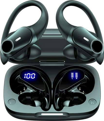 Active Noise Cancelling Earbuds