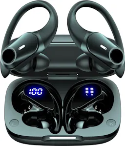 Active Noise Cancelling Earbuds